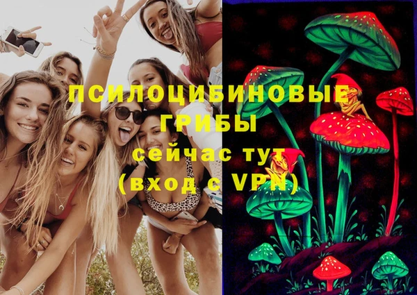 2c-b Балахна