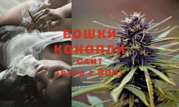 спайс Аркадак