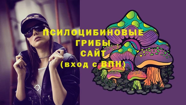 спайс Аркадак